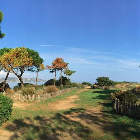 Sainte-maxime: 2 Pieces Renove Avec Terrasse, Climatisation Et A 2 Pas De La - Fr-1-226-498