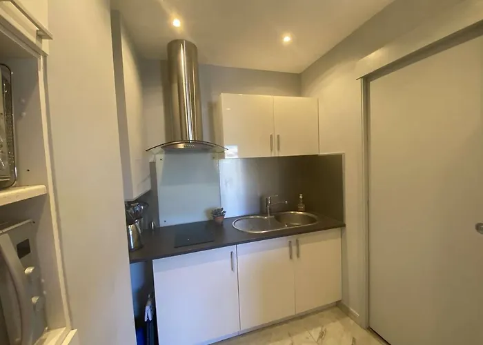 Sainte-maxime: 2 Pieces Renove Avec Terrasse, Climatisation Et A 2 Pas De La - Fr-1-226-498 Lejlighed Sainte-Maxime